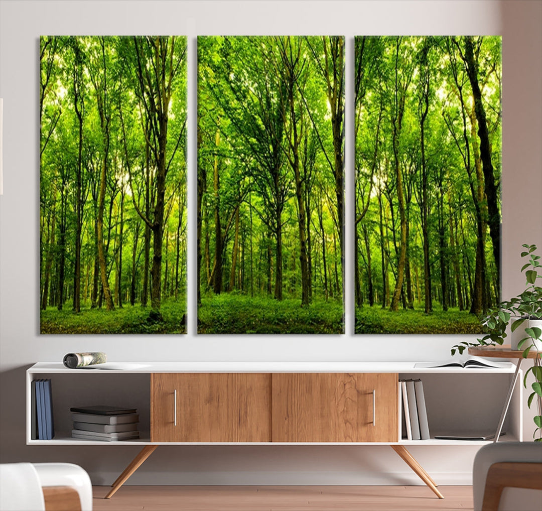 Large Wall Art Panoramic View of a Green Forest Landscape Canvas Print