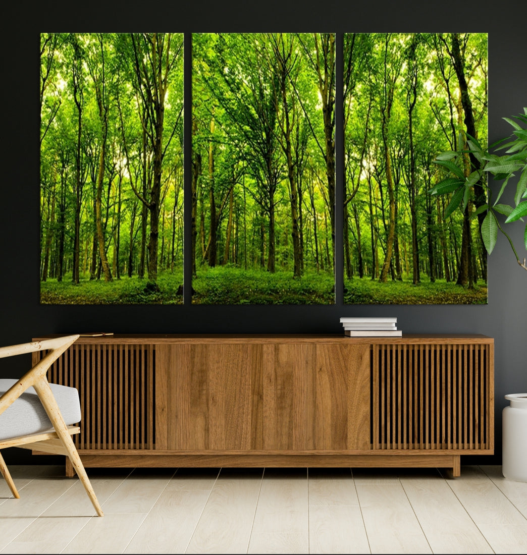 Large Wall Art Panoramic View of a Green Forest Landscape Canvas Print