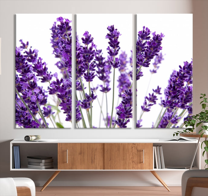 Lavender Flowers Lilac Large Wall Art Floral Canvas Print