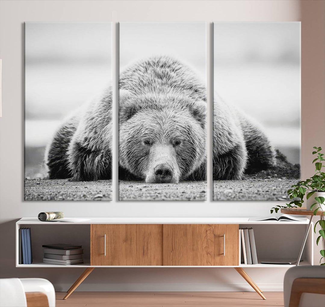 Lazy Bear Wall Art Canvas Print – Cozy Wildlife Photography for Living Room Decor, Barn, Cabin Wall Art, Farmhouse Decor Wall Art Print, Ready to Hang