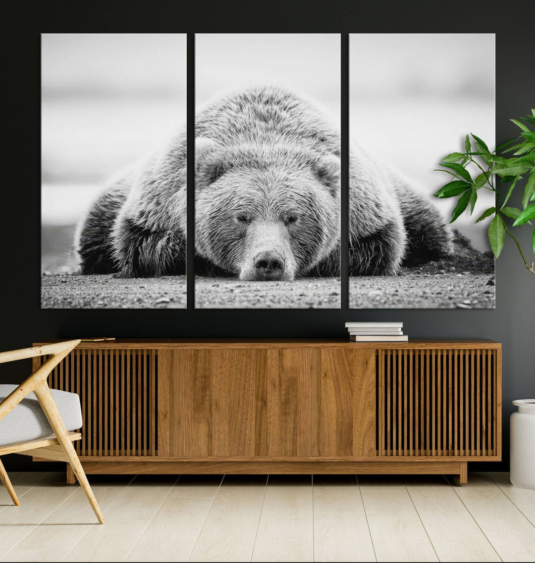 Lazy Bear Wall Art Canvas Print – Cozy Wildlife Photography for Living Room Decor, Barn, Cabin Wall Art, Farmhouse Decor Wall Art Print, Ready to Hang