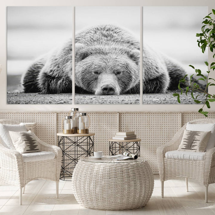 Lazy Bear Wall Art Canvas Print – Cozy Wildlife Photography for Living Room Decor, Barn, Cabin Wall Art, Farmhouse Decor Wall Art Print, Ready to Hang