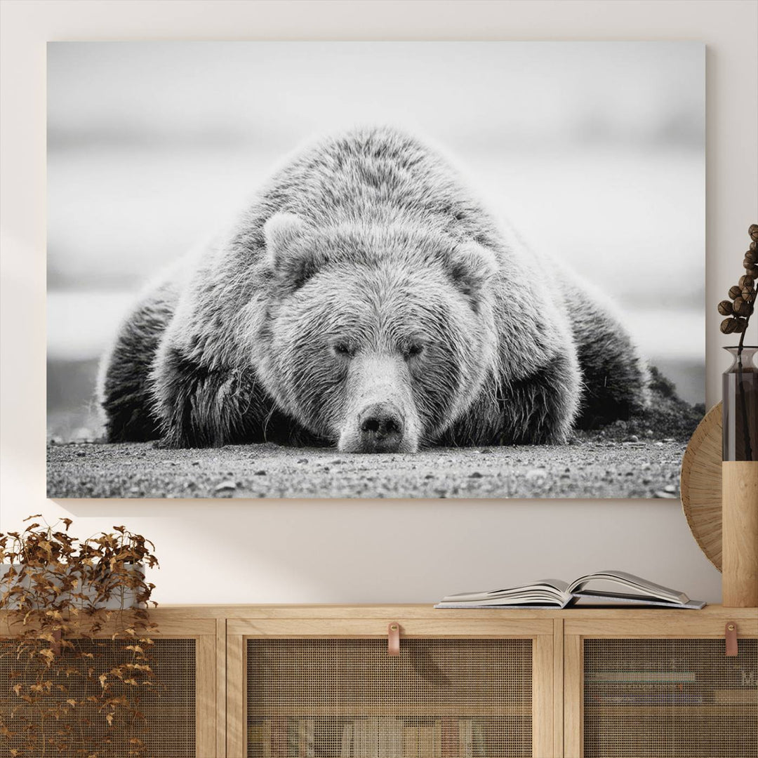 Lazy Bear Wall Art Canvas Print – Cozy Wildlife Photography for Living Room Decor, Barn, Cabin Wall Art, Farmhouse Decor Wall Art Print, Ready to Hang