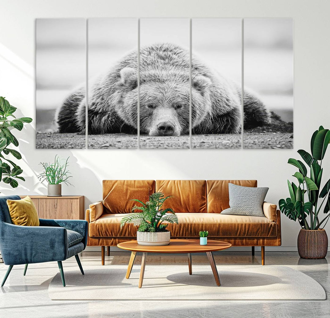 Lazy Bear Wall Art Canvas Print – Cozy Wildlife Photography for Living Room Decor, Barn, Cabin Wall Art, Farmhouse Decor Wall Art Print, Ready to Hang