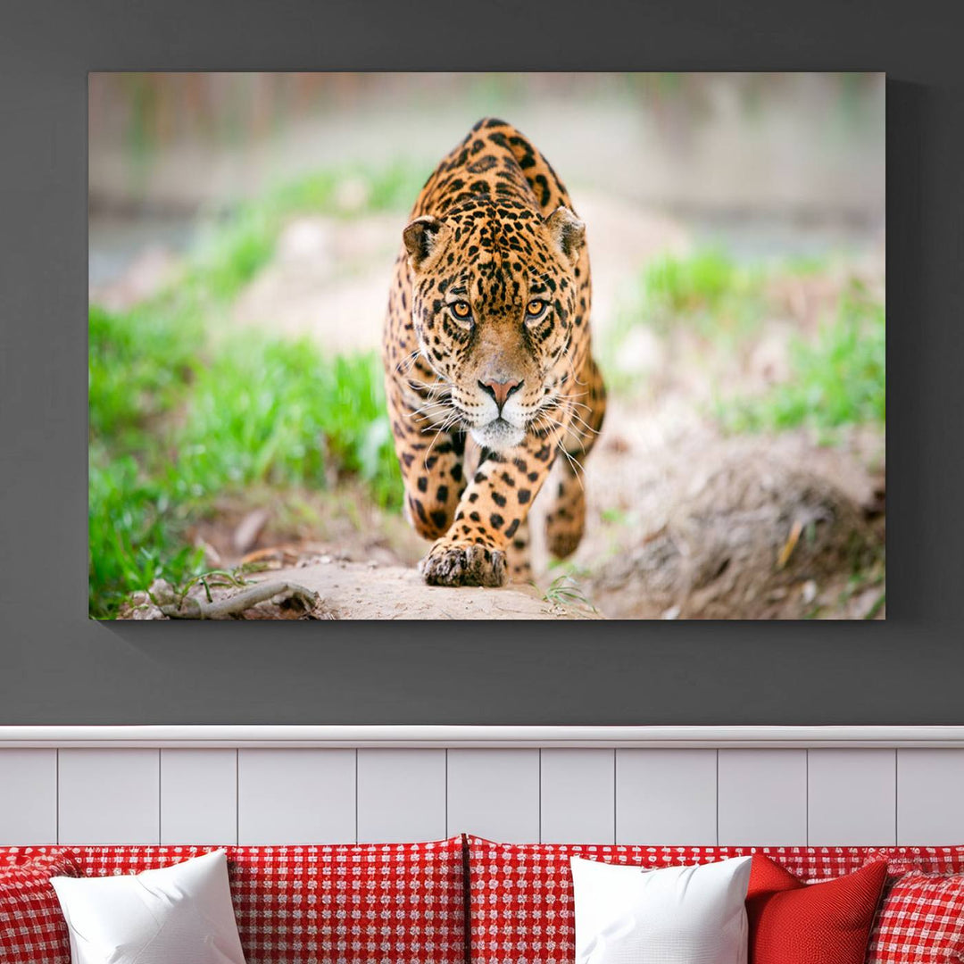 Leopard Wall Art Canvas Print