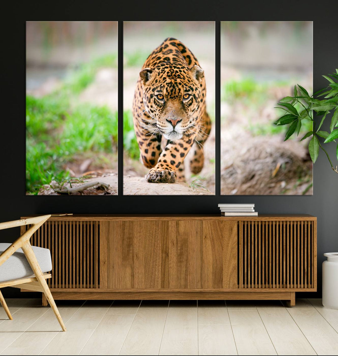 Leopard Wall Art Canvas Print