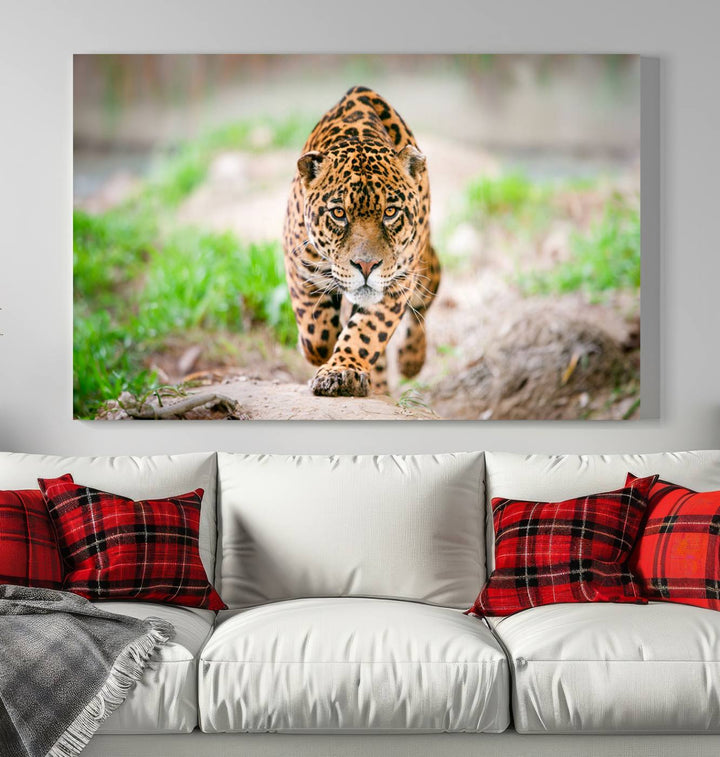 Leopard Wall Art Canvas Print