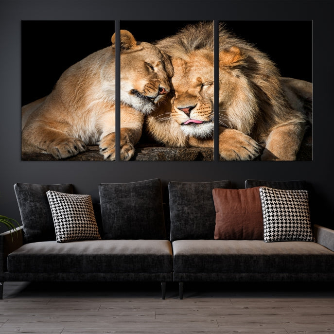 Lion Couple Picture Printed on Cotton Canvas Wall Art Print Framed