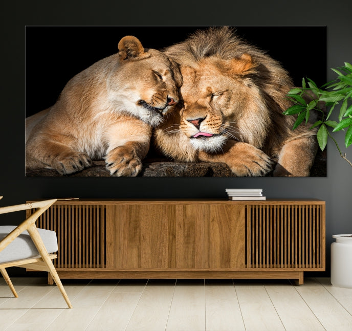 Lion Couple Picture Printed on Cotton Canvas Wall Art Print Framed