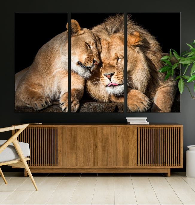 Lion Couple Picture Printed on Cotton Canvas Wall Art Print Framed