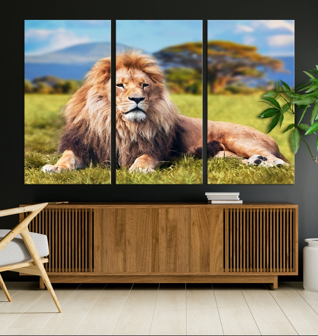 Lion on Savannah Africa Wall Art Canvas Print