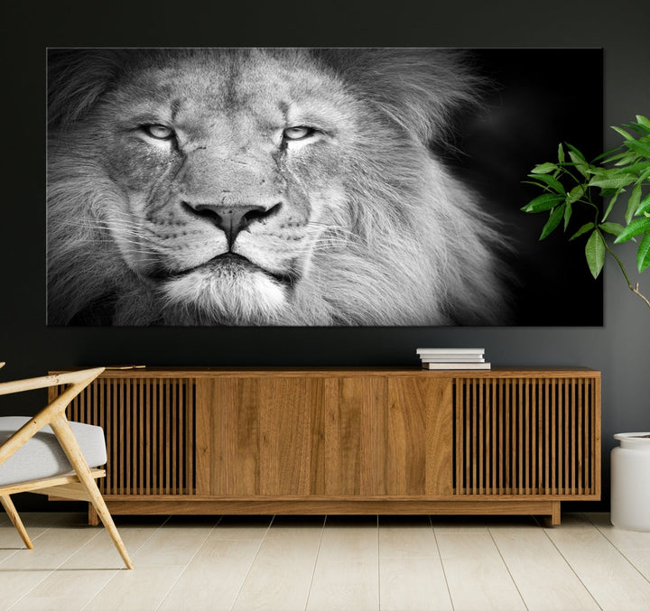 Lion Wall Art Canvas Print