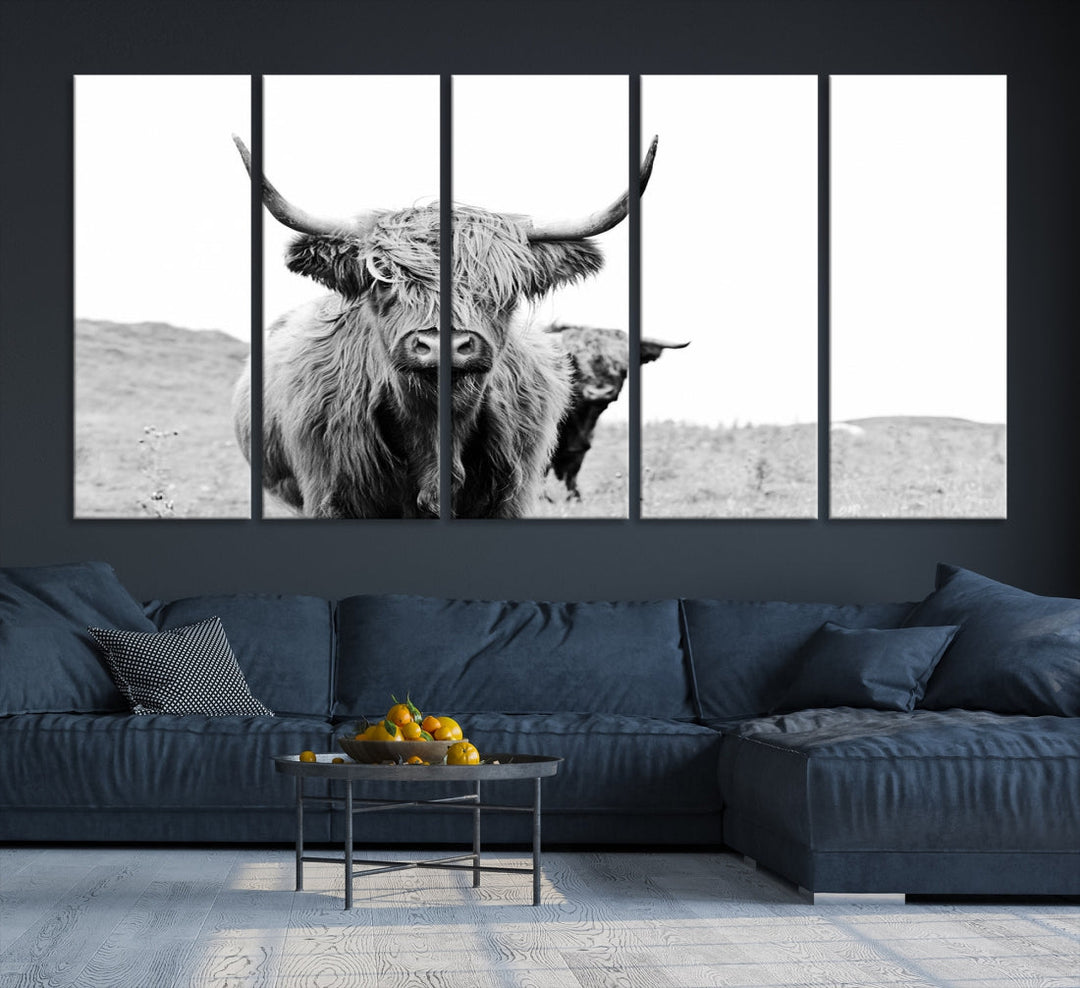 Lovely Highland Cattle Wall Art Canvas Print Black and White Animal Art Print