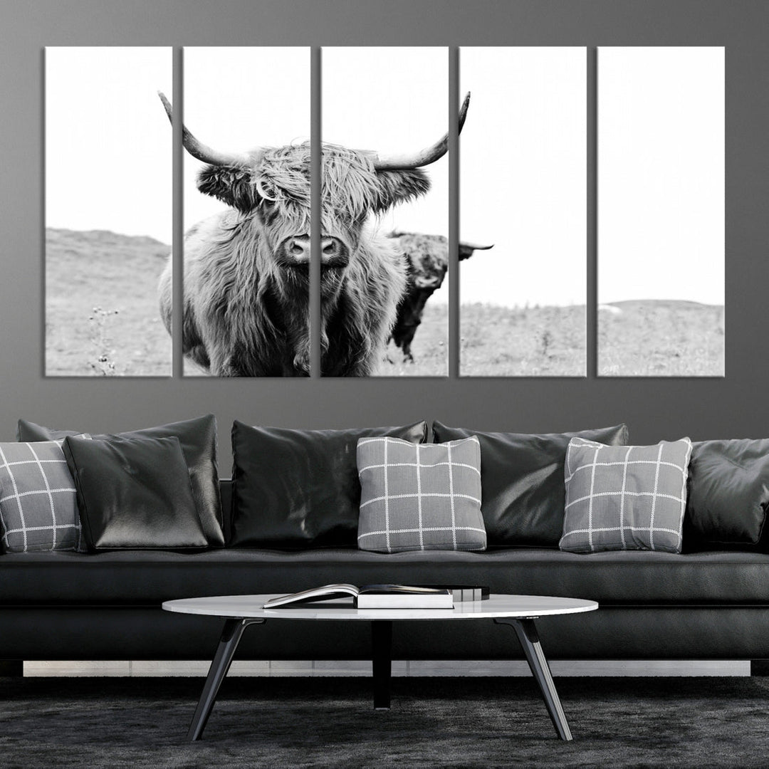 Lovely Highland Cattle Wall Art Canvas Print Black and White Animal Art Print