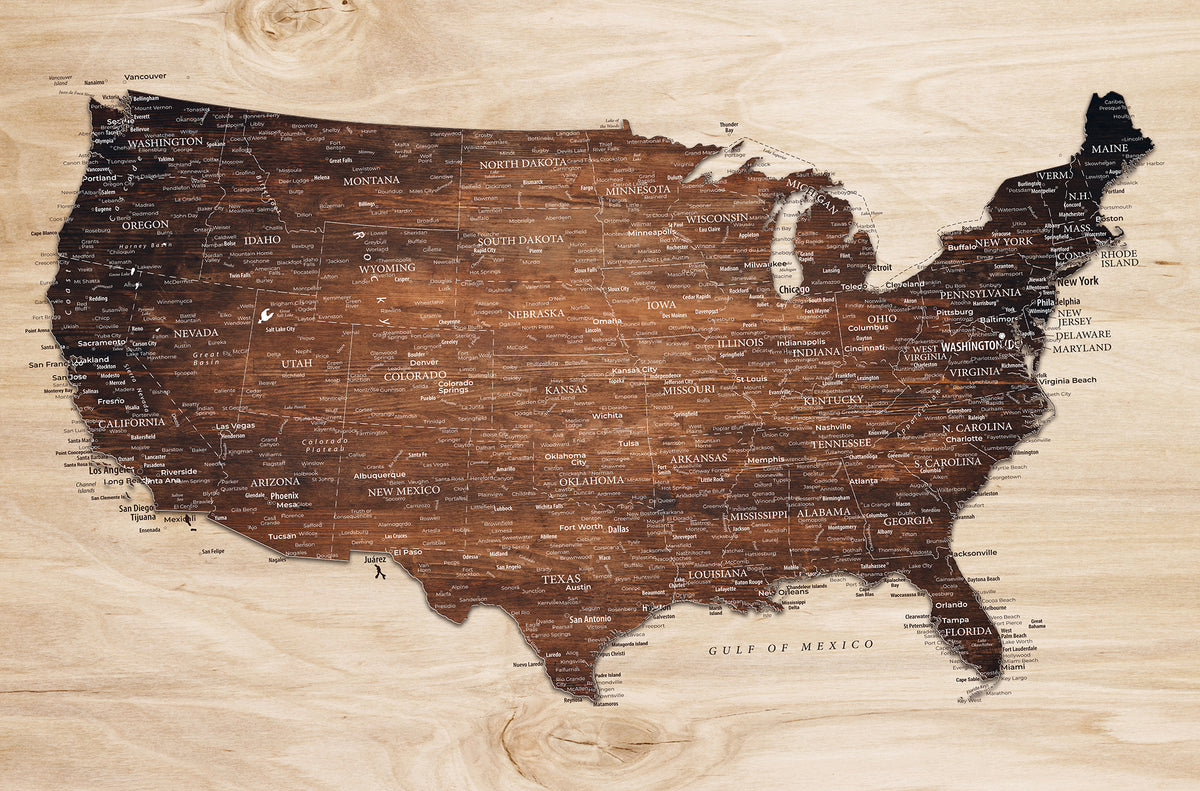Personalized Beige Push Pin USA Map Canvas Print, 50 State Bucket List Map, Home Office and Entryway Decor