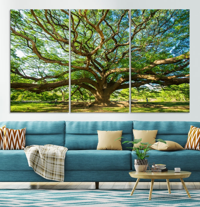 Mighty Angel Oak Tree Wall Art Framed Big Tree Nature Canvas Print