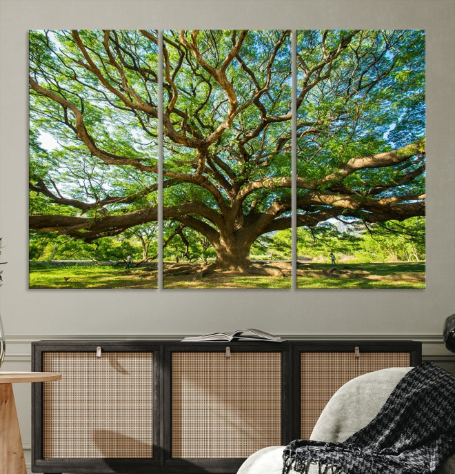 Mighty Angel Oak Tree Wall Art Framed Big Tree Nature Canvas Print