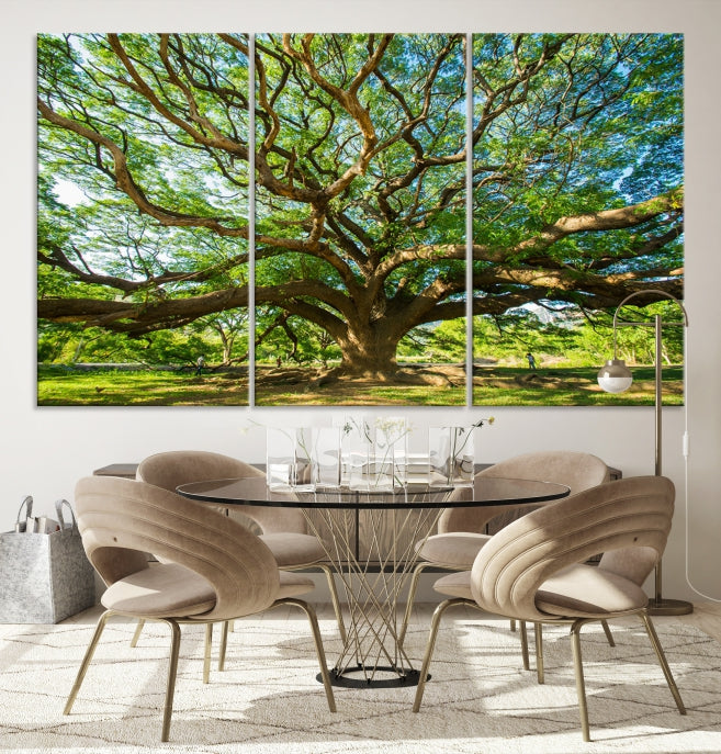 Mighty Angel Oak Tree Wall Art Framed Big Tree Nature Canvas Print