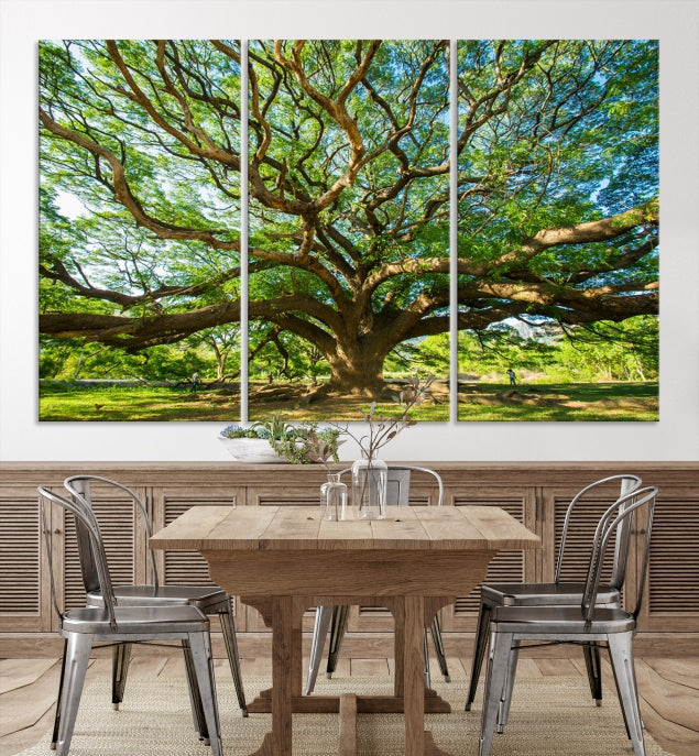 Mighty Angel Oak Tree Wall Art Framed Big Tree Nature Canvas Print