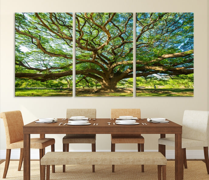 Mighty Angel Oak Tree Wall Art Framed Big Tree Nature Canvas Print