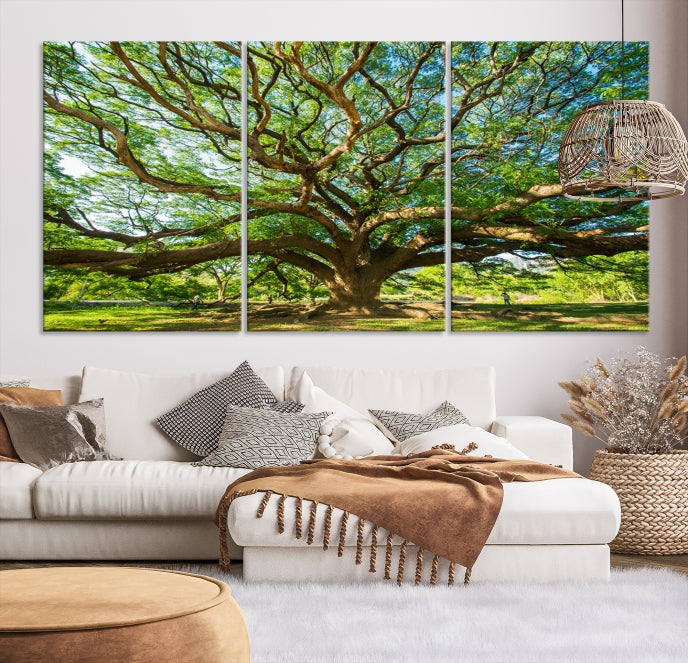 Mighty Angel Oak Tree Wall Art Framed Big Tree Nature Canvas Print