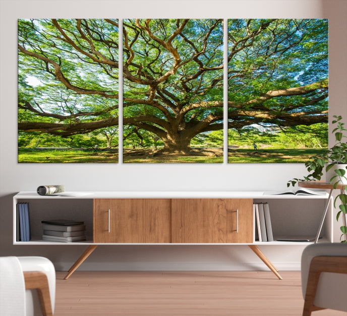 Mighty Angel Oak Tree Wall Art Framed Big Tree Nature Canvas Print