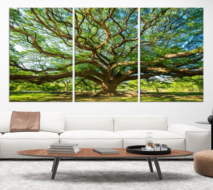 Mighty Angel Oak Tree Wall Art Framed Big Tree Nature Canvas Print