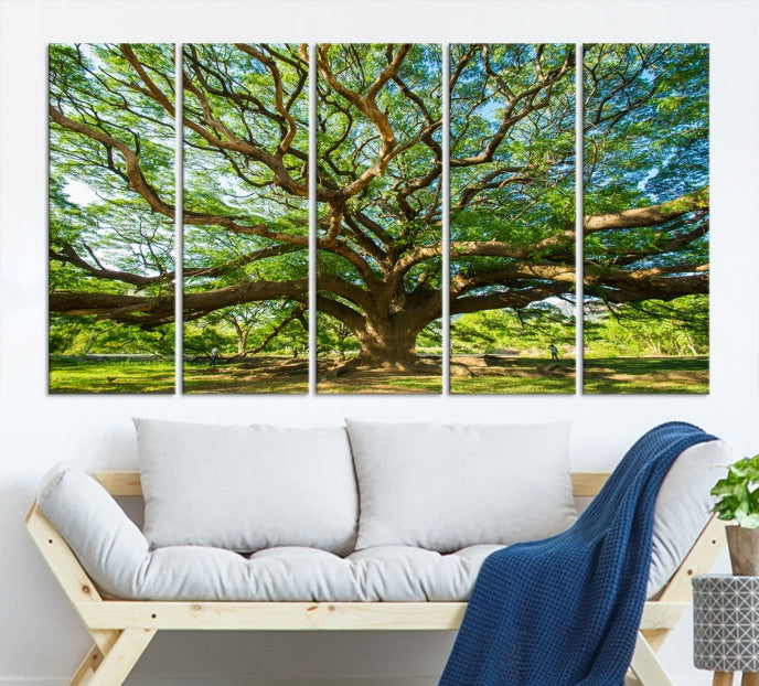 Mighty Angel Oak Tree Wall Art Framed Big Tree Nature Canvas Print