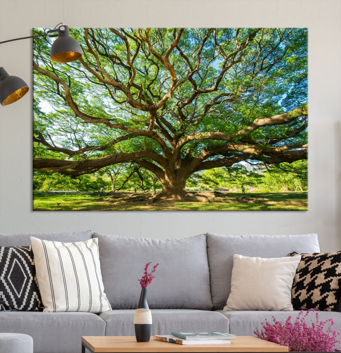 Mighty Angel Oak Tree Wall Art Framed Big Tree Nature Canvas Print