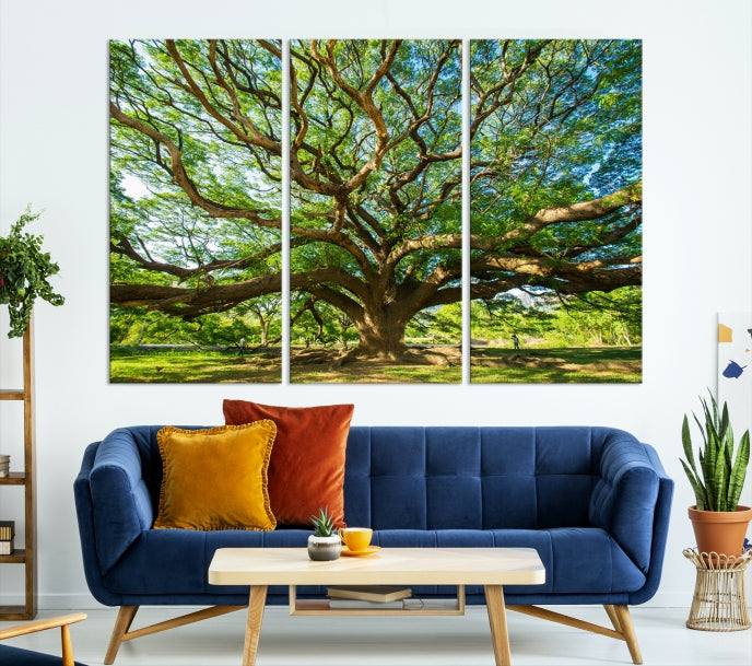 Mighty Angel Oak Tree Wall Art Framed Big Tree Nature Canvas Print