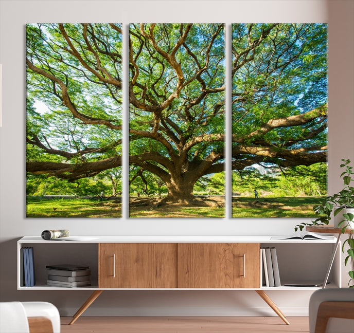 Mighty Angel Oak Tree Wall Art Framed Big Tree Nature Canvas Print