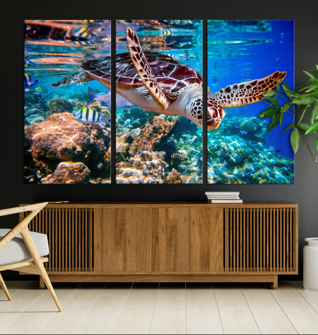 Ocean Turtle Wall Art Canvas Print