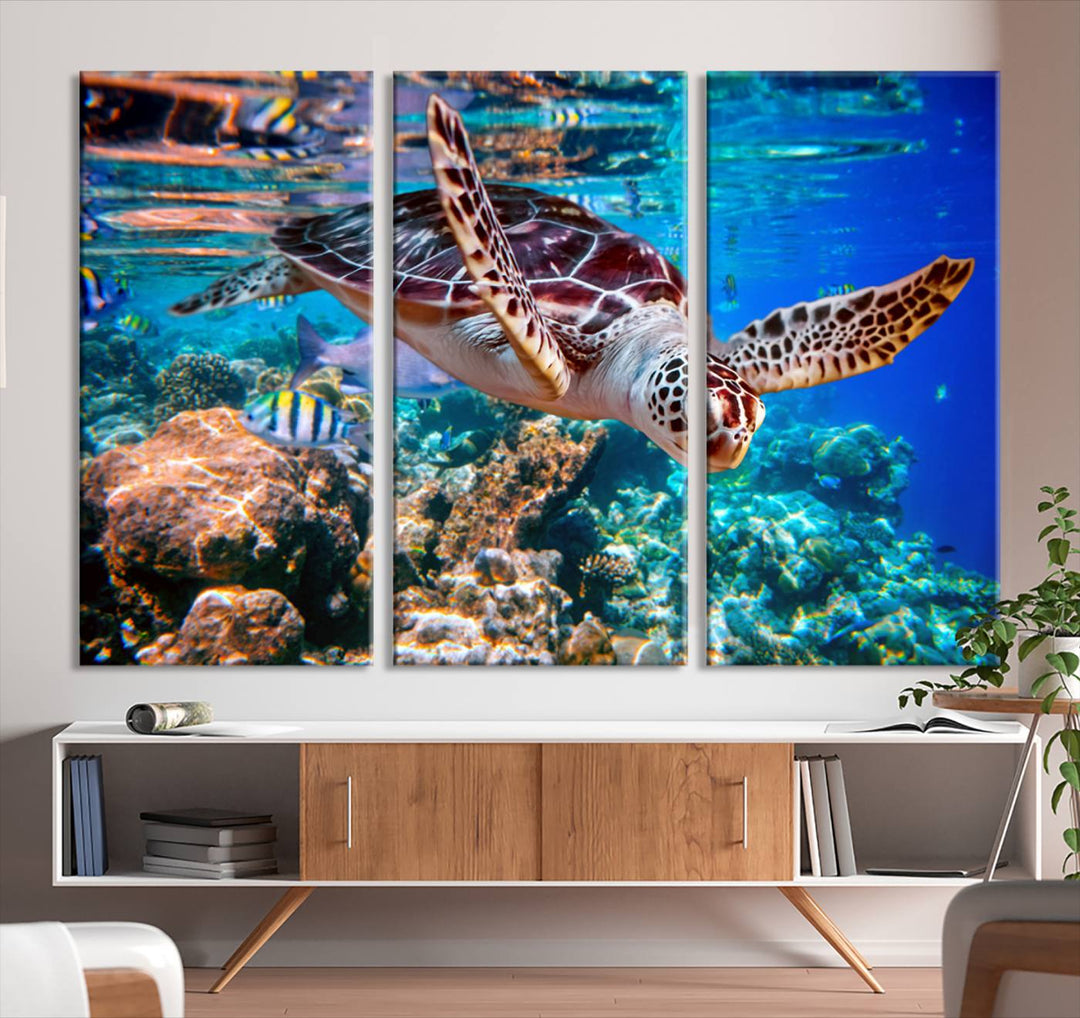 Ocean Turtle Wall Art Canvas Print