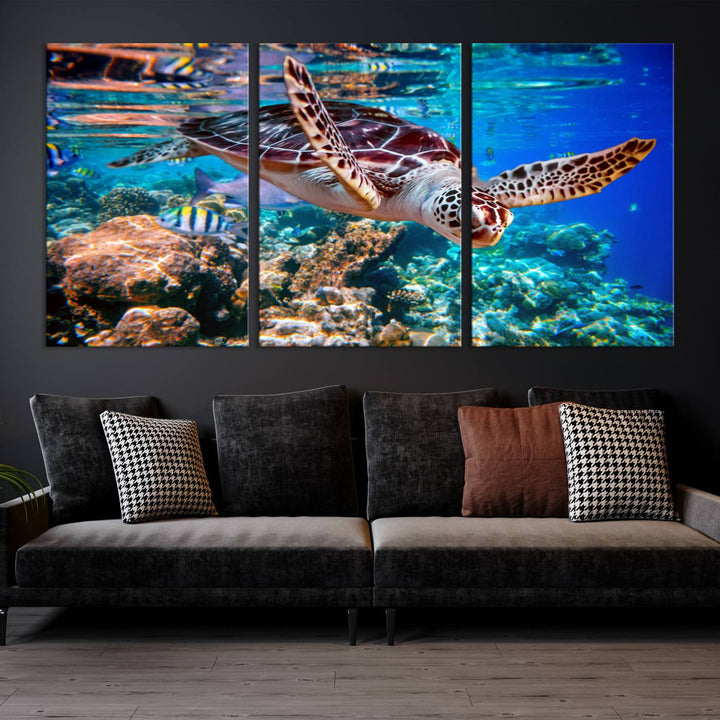 Ocean Turtle Wall Art Canvas Print