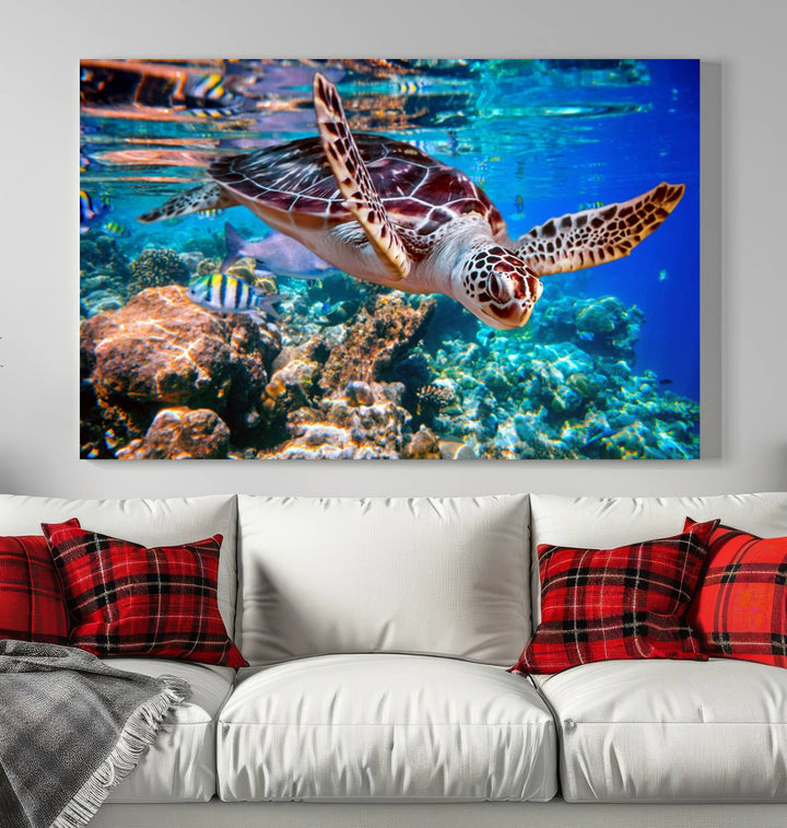 Ocean Turtle Wall Art Canvas Print