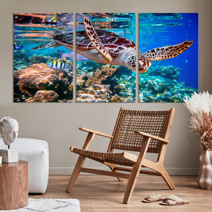 Ocean Turtle Wall Art Canvas Print