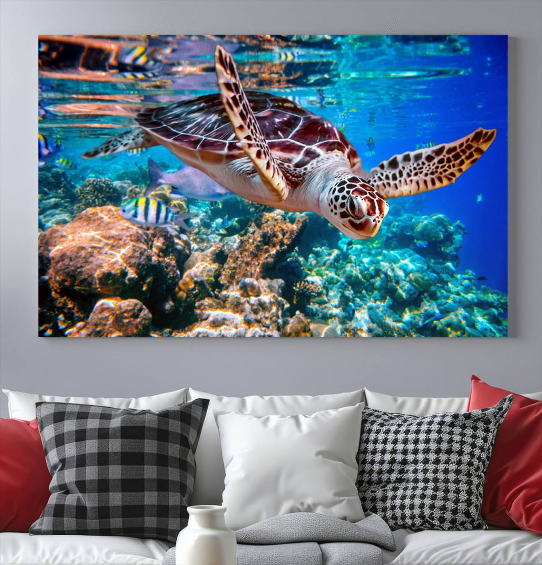 Ocean Turtle Wall Art Canvas Print