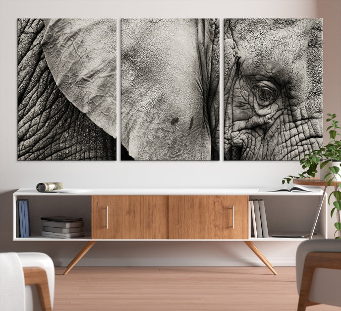 Old Elephant Extra Large Canvas Art Print Animal Wall Decor for Hallway