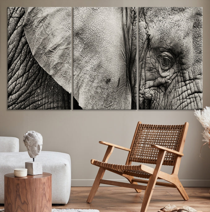 Old Elephant Extra Large Canvas Art Print Animal Wall Decor for Hallway