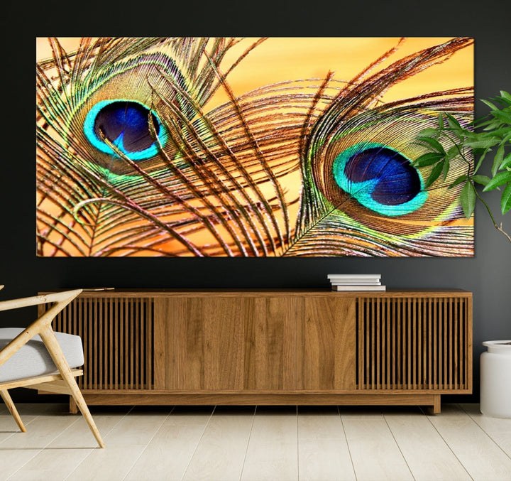 Peacock Feather Artwork Large Wall Art Animal Canvas Print for Nursery Decor