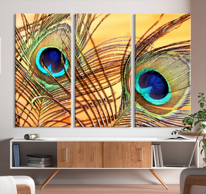 Peacock Feather Artwork Large Wall Art Animal Canvas Print for Nursery Decor