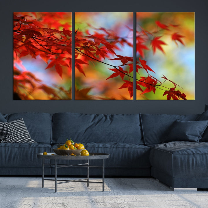 Red Leaves in Autumn Giclee Canvas Wall Art Print Framed