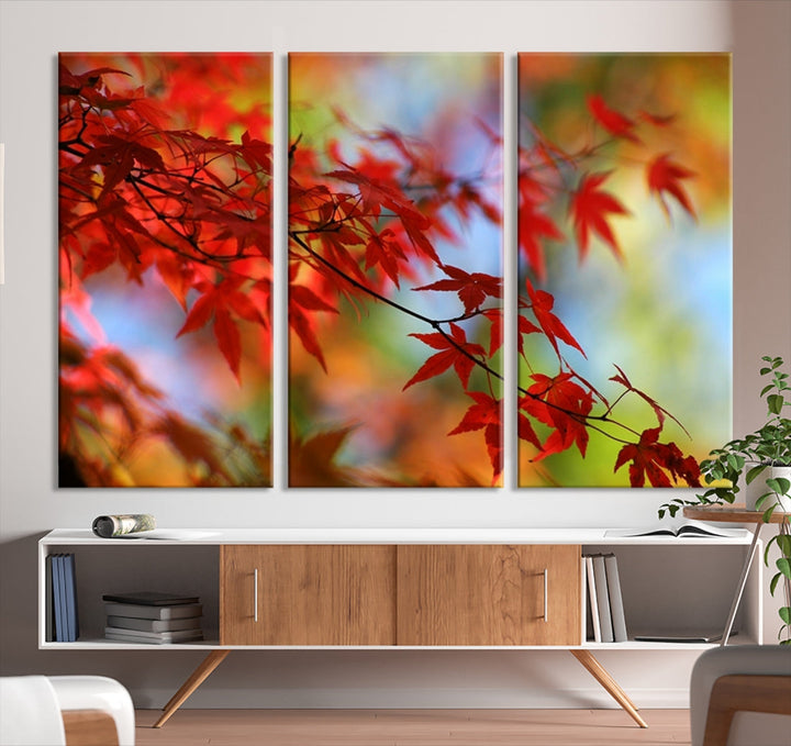 Red Leaves in Autumn Giclee Canvas Wall Art Print Framed