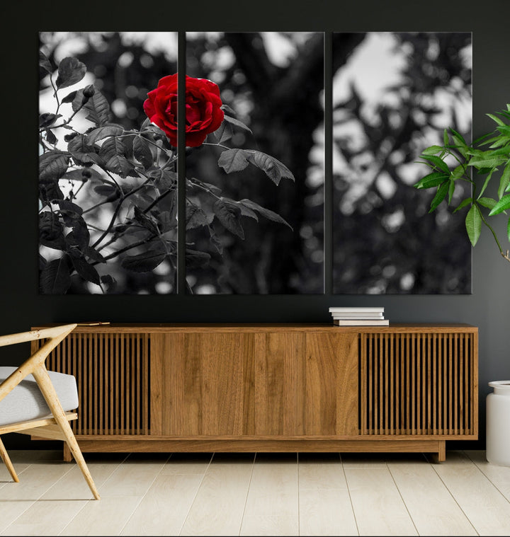 Red Rose with Black & White Background Love Canvas Wall Art Print Rose Canvas Art Love Artwork