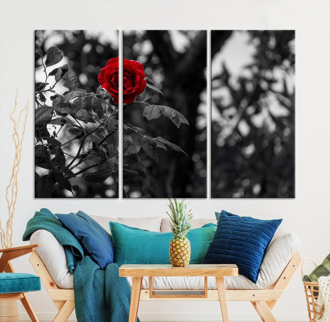 Red Rose with Black & White Background Love Canvas Wall Art Print Rose Canvas Art Love Artwork