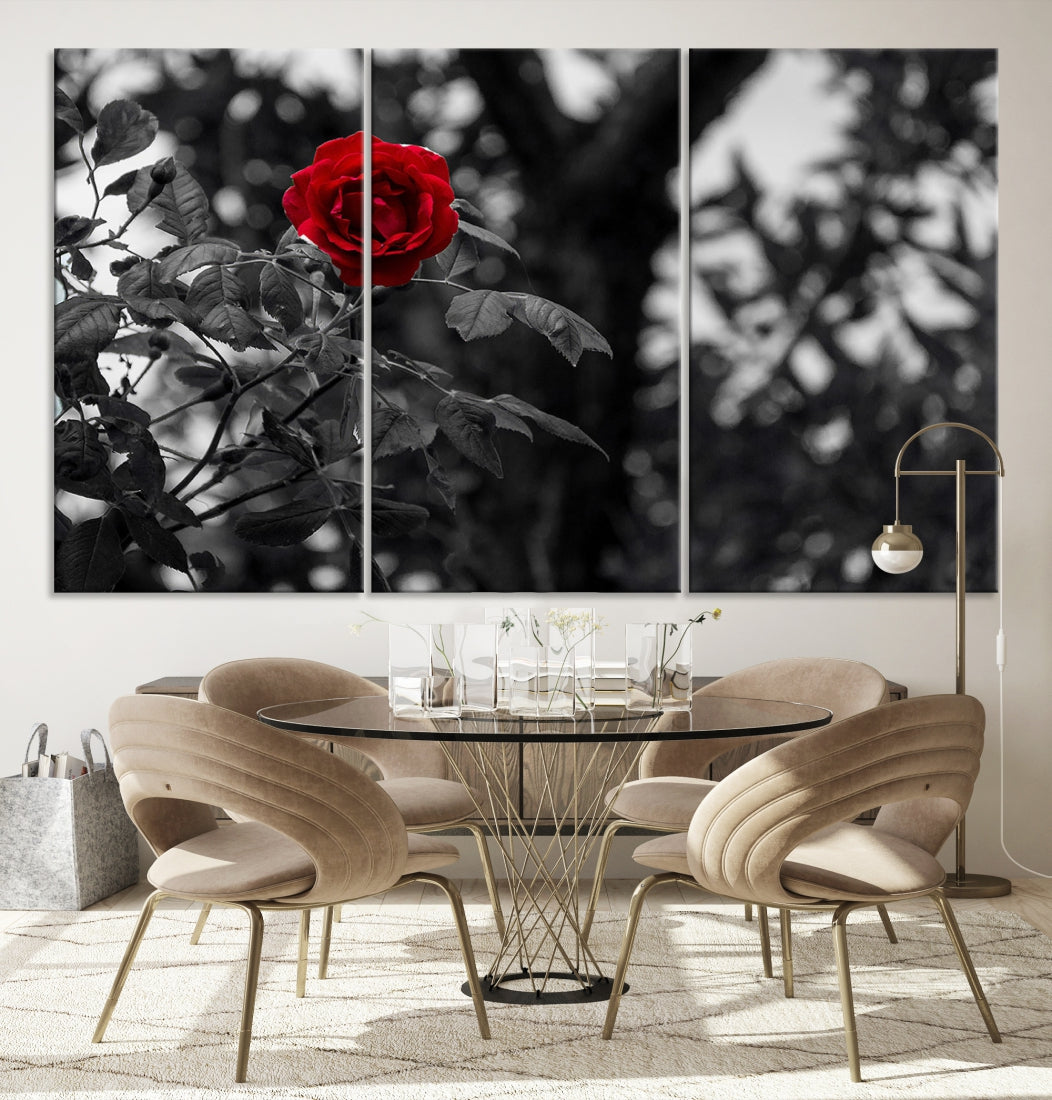 Red Rose with Black & White Background Love Canvas Wall Art Print Rose Canvas Art Love Artwork