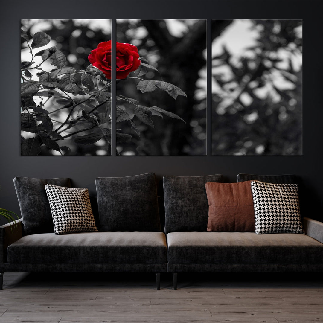 Red Rose with Black & White Background Love Canvas Wall Art Print Rose Canvas Art Love Artwork