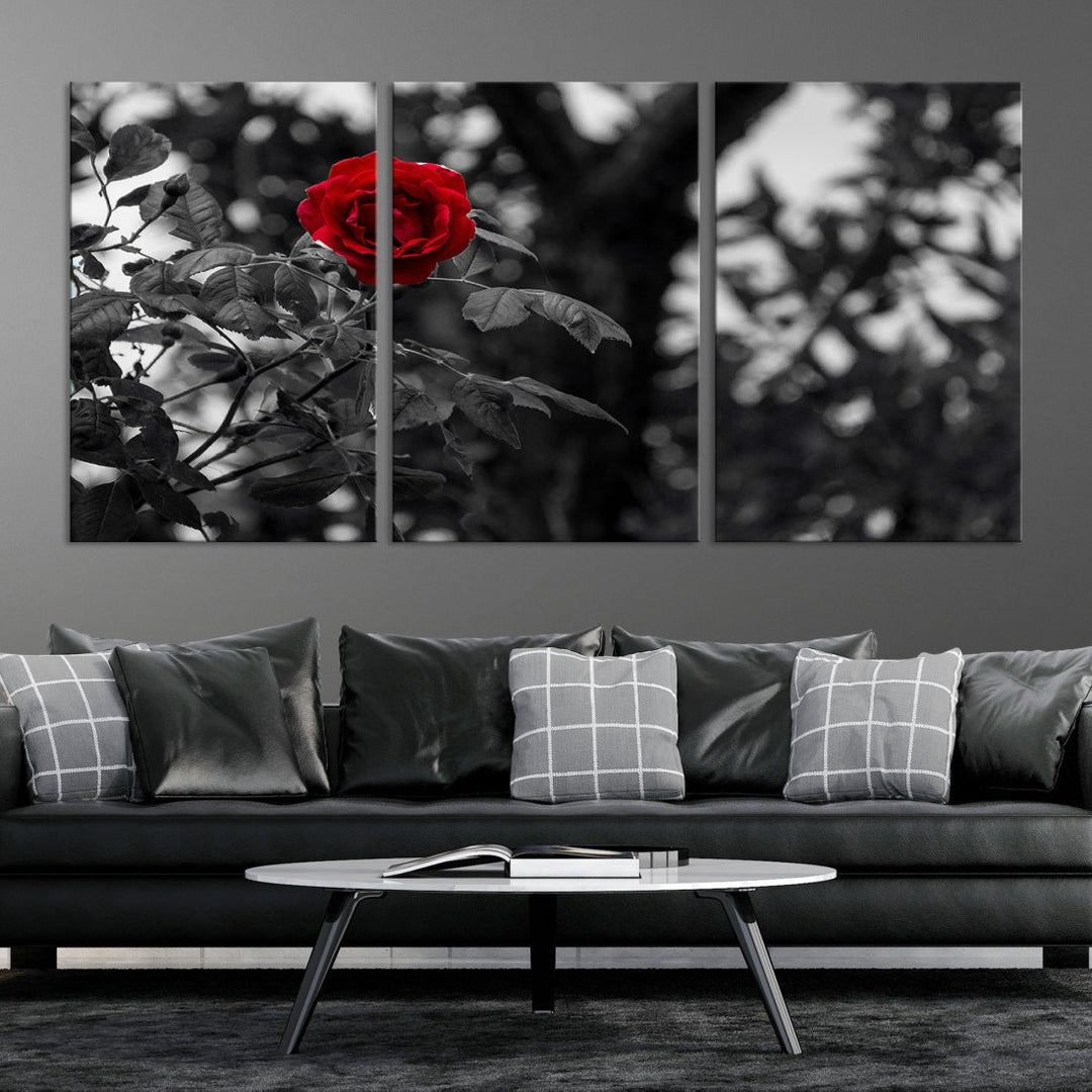 Red Rose with Black & White Background Love Canvas Wall Art Print Rose Canvas Art Love Artwork