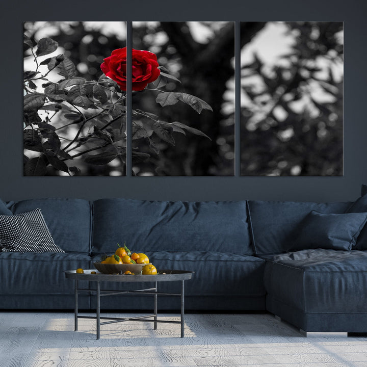 Red Rose with Black & White Background Love Canvas Wall Art Print Rose Canvas Art Love Artwork