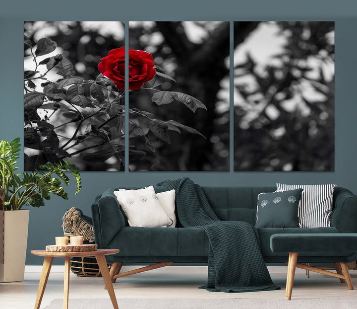 Red Rose with Black & White Background Love Canvas Wall Art Print Rose Canvas Art Love Artwork